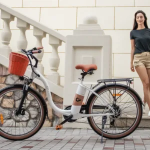 C6 Pro 9 puntoelectric