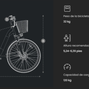 DYU C6 Pro 10 puntoelectric