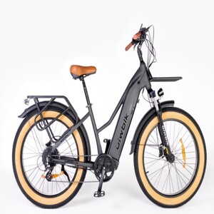 bicicleta eléctric Biwbik Sidney color negro mate vista lateral