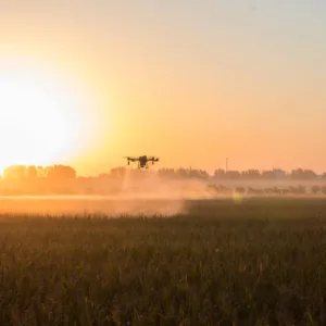 Dron agrícola DJI Agras T25 volando sobre un campo de cultivo