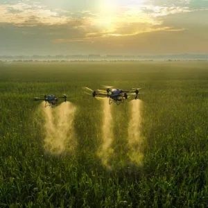 Dos Drones agrícolas DJI Agras T50 en pleno vuelo de pulverización sobre campo de cultivo